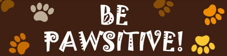 Be Pawsitive Bumper Sticker