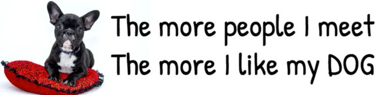 The More People I Meet Dog Bumper Sticker