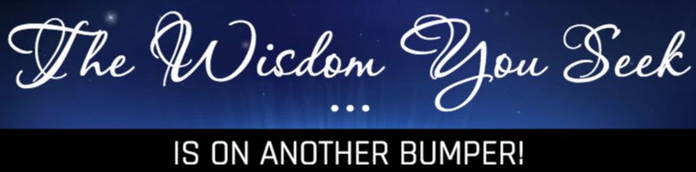 The Wisdom You Seek Bumper Sticker