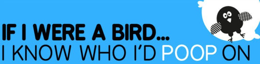If I Were A Bird Bumper Sticker