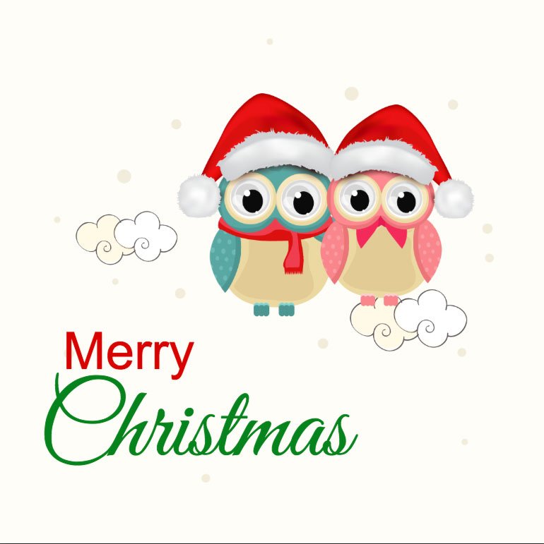 Christmas Owls Label