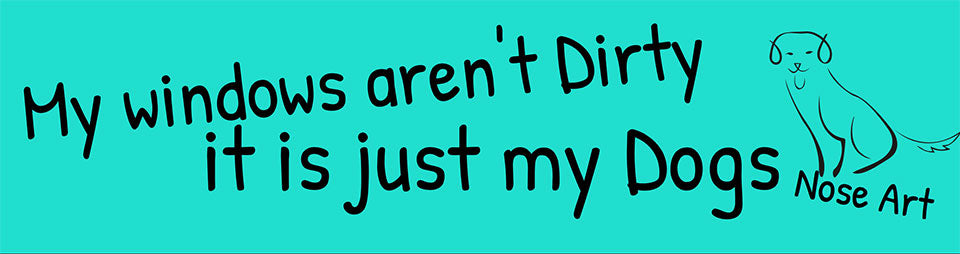 My windows aren't dirty Bumper Sticker
