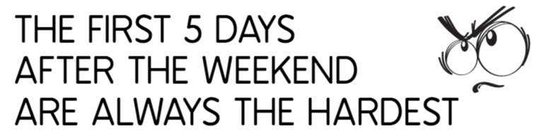 The First Five Days Bumper Sticker