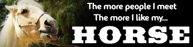 The More People I Meet Horse Bumper Sticker