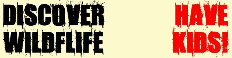Discover Wildlife Have kids Bumper Sticker