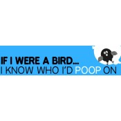 If I Were A Bird Bumper Sticker