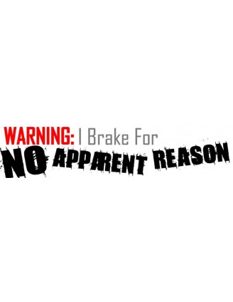 Warning I Brake For No Reason Bumper Sticker