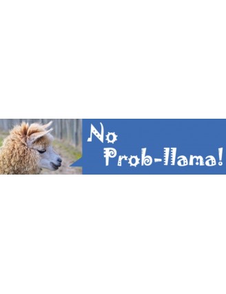 No Prob-llama Bumper Sticker